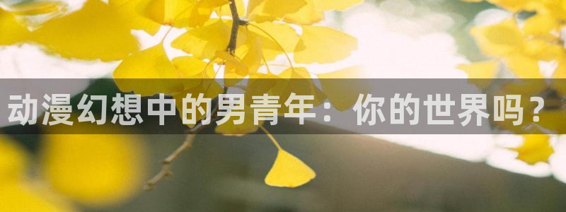 动漫天堂.