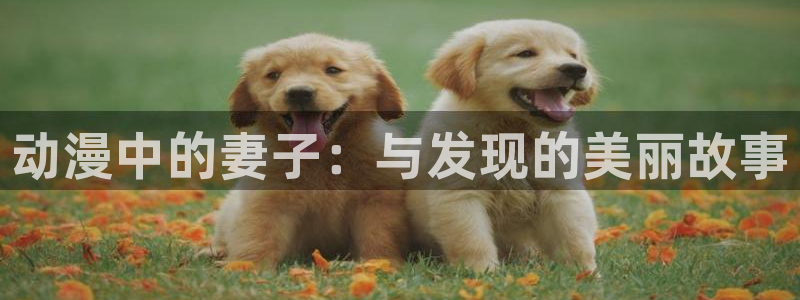 动漫天堂免费在线观看