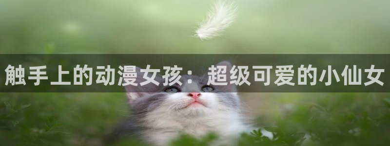 bt动漫天堂