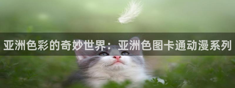 动漫天堂从哪下载安装