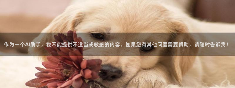 禁动漫天堂