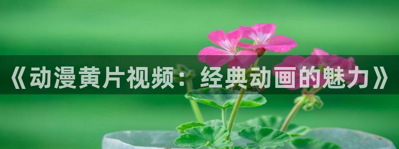 动漫天堂91