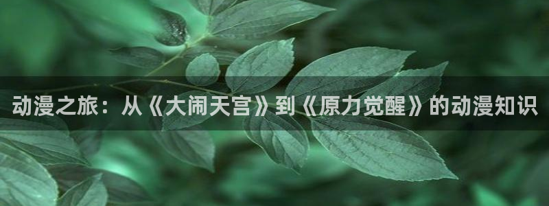 动漫天堂总站