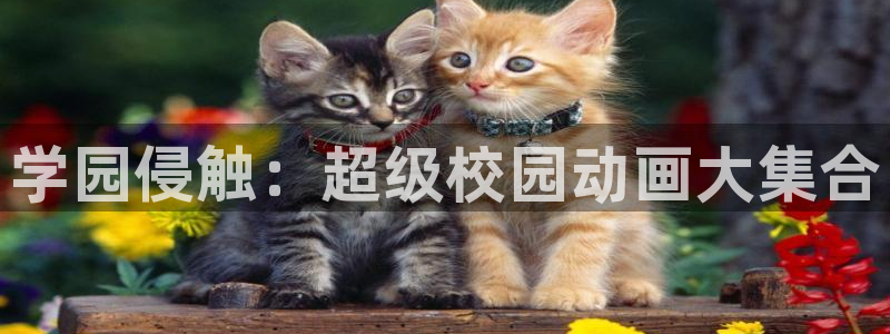 bt动漫天堂