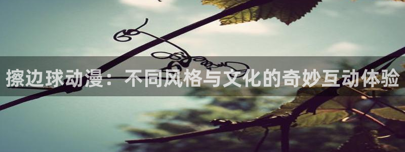 动漫天堂在线观看