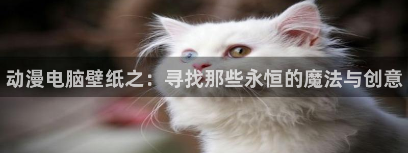 动漫天堂.