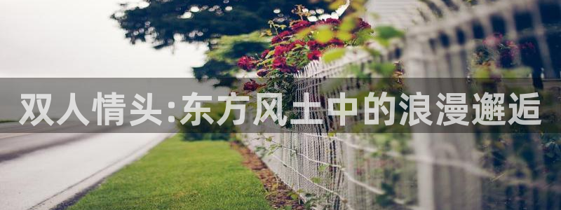 动漫天堂从哪下载安装