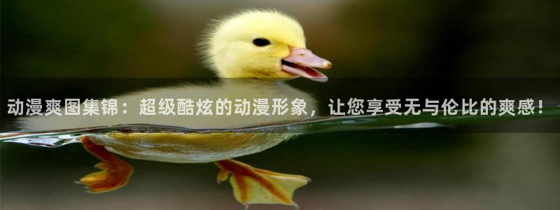 免费动漫天堂之吻