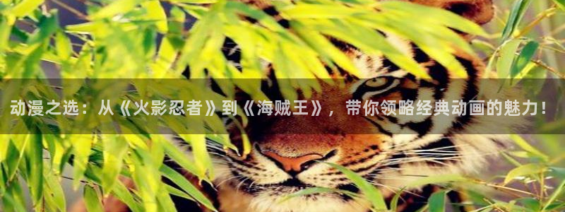 动漫天堂免费观看