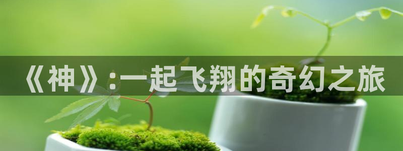 动漫天堂