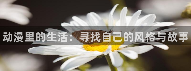 18禁动漫天堂