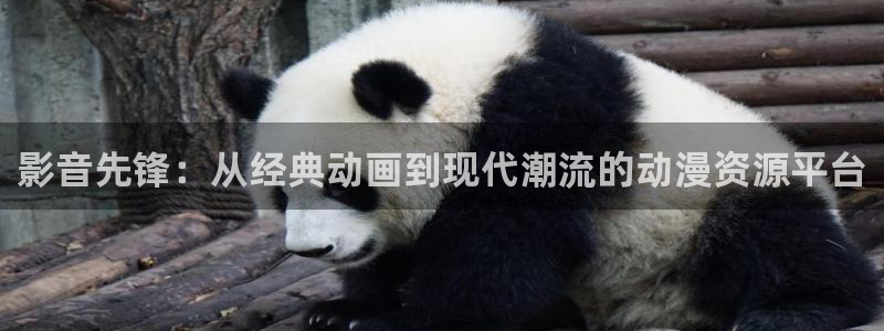 动漫天堂下载安装最新版：影音先锋：从经典动画到现代潮流的动漫资源平台