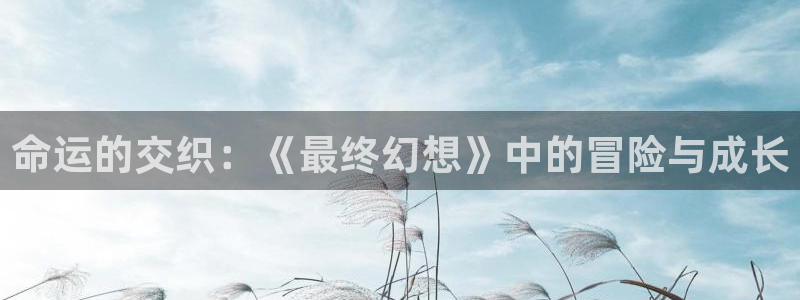动漫天堂.cc