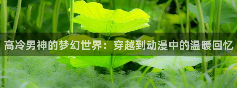 动漫天堂软件：高冷男神的梦幻世界：穿越到动漫中的温暖回忆