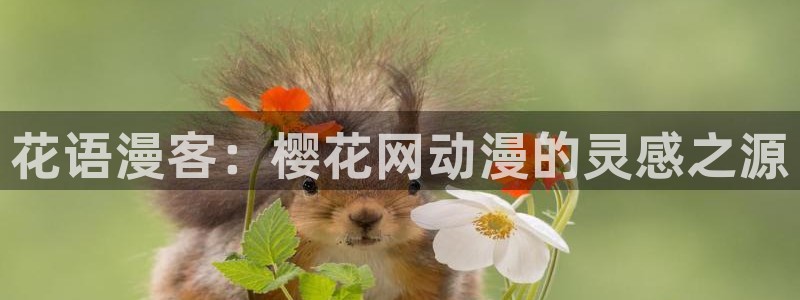 动漫天堂.