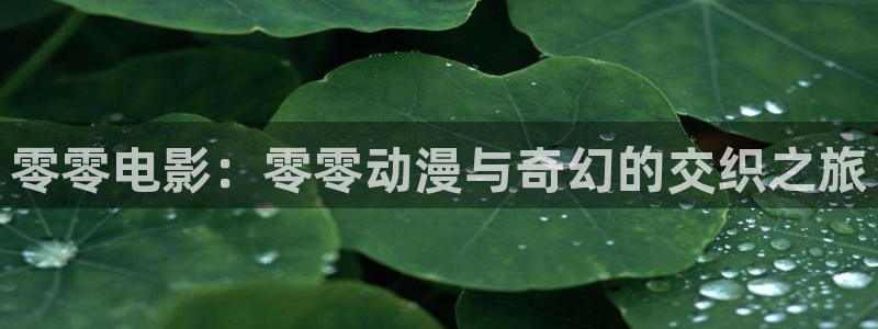 动漫天堂.