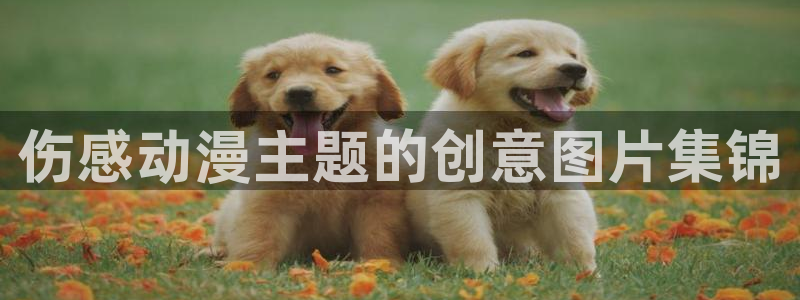原神禁动漫天堂可莉