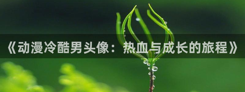 18动漫天堂：《动漫冷酷男头像：热血与成长的旅程》