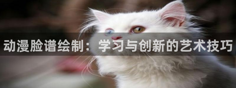 91动漫天堂：动漫脸谱绘制：学习与创新的艺术技巧
