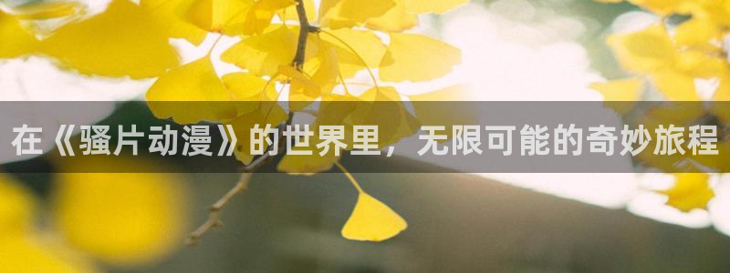 3d动漫天堂网：在《骚片动漫》的世界里，无限可能的奇妙旅程