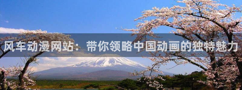 动漫天堂官方正版下载：风车动漫网站：带你领略中国动画的独特魅力
