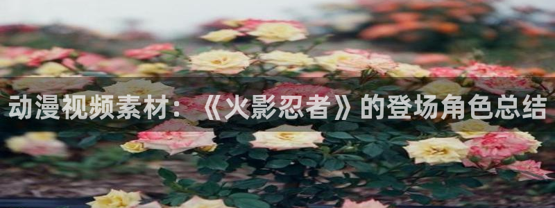 动漫天堂.：动漫视频素材：《火影忍者》的登场角色总结