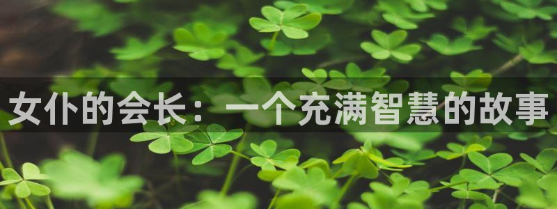 jm动漫天堂：女仆的会长：一个充满智慧的故事