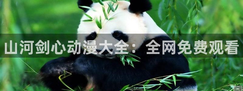 动漫天堂软件：山河剑心动漫大全：全网免费观看