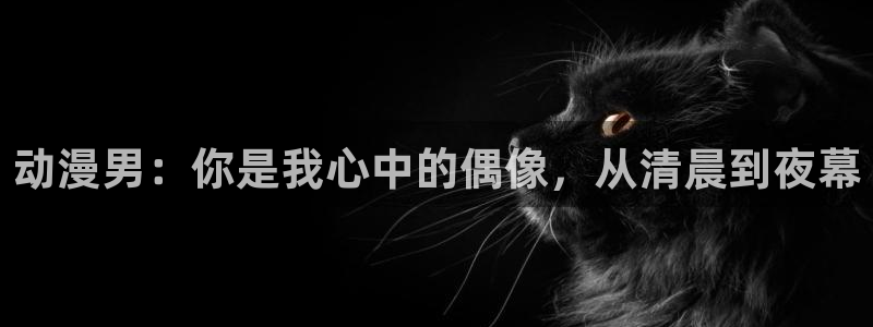 内地动漫天堂：动漫男：你是我心中的偶像，从清晨到夜幕