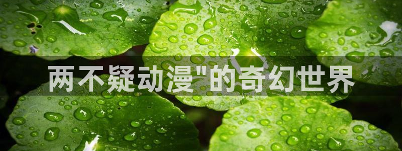 91动漫天堂：两不疑动漫\