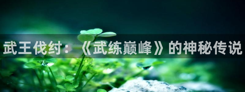 下载动漫天堂：武王伐纣：《武练巅峰》的神秘传说