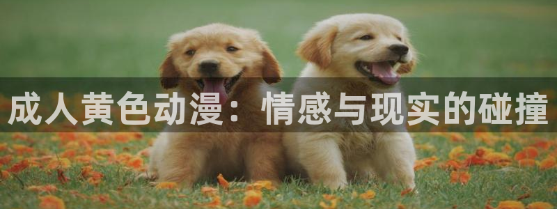 动漫天堂.cc：成人黄色动漫：情感与现实的碰撞