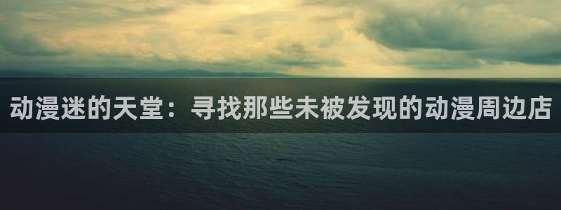 动漫天堂：动漫迷的天堂：寻找那些未被发现的动漫周边店
