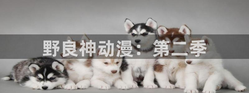 动漫天堂下载：野良神动漫：第二季
