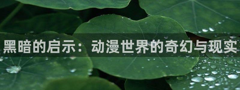 acg动漫天堂：黑暗的启示：动漫世界的奇幻与现实