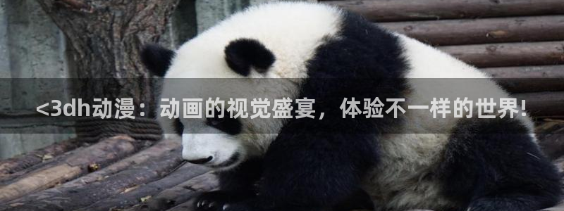 动漫天堂下载官方