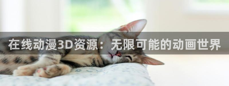 动漫天堂从哪下载安装