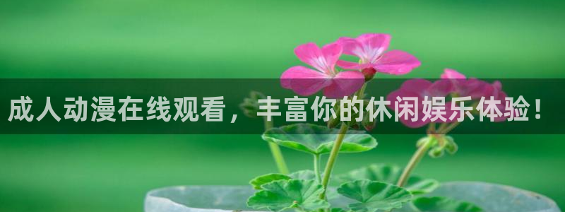 动漫天堂91
