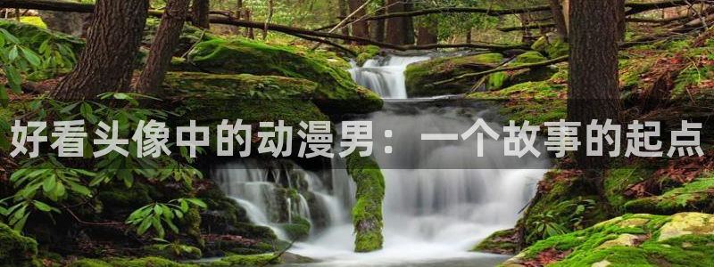 动漫天堂在线：好看头像中的动漫男：一个故事的起点