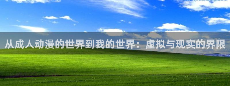 动漫天堂电影：从成人动漫的世界到我的世界：虚拟与现实的界限