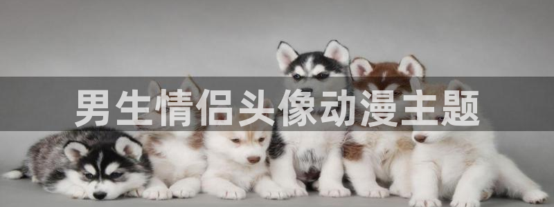 亚洲动漫天堂：男生情侣头像动漫主题