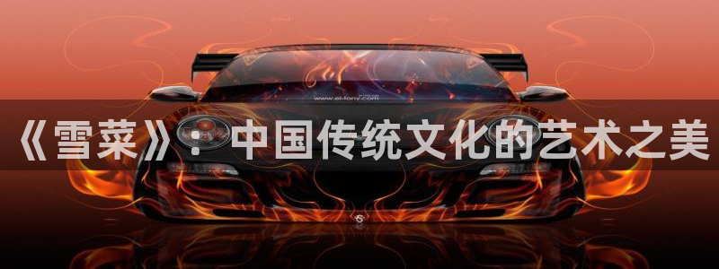 动漫天堂下载正版：《雪菜》：中国传统文化的艺术之美