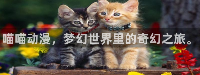 动漫天堂.cc：喵喵动漫，梦幻世界里的奇幻之旅。