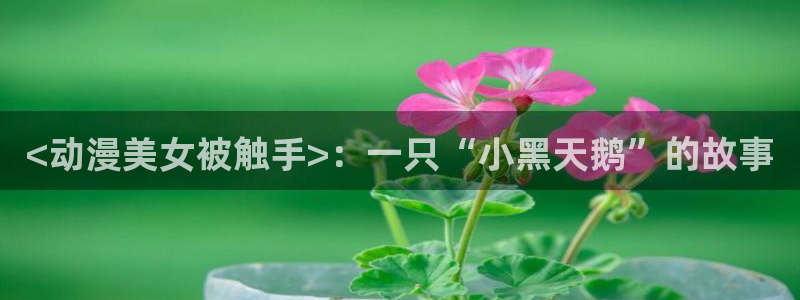 动漫天堂在线观看：<动漫美女被触手>：一只“小黑天鹅”的故事
