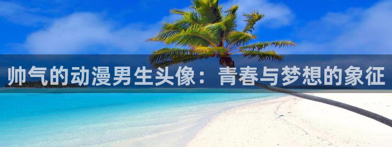 动漫天堂免费版：帅气的动漫男生头像：青春与梦想的象征