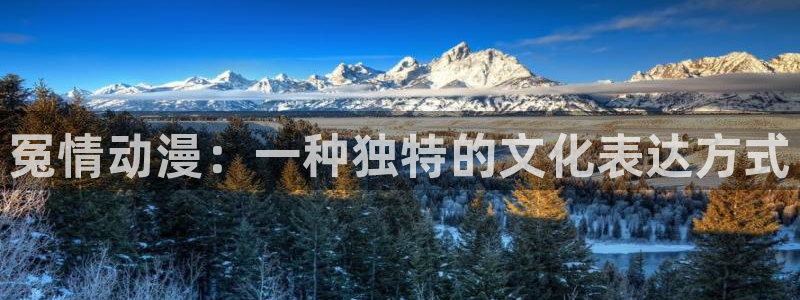 成人动漫天堂网：冤情动漫：一种独特的文化表达方式