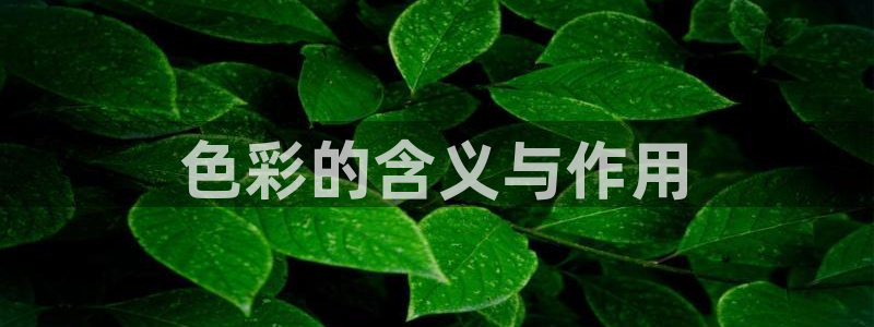 原神动漫天堂免费入口：色彩的含义与作用