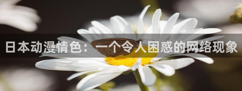 bt动漫天堂：日本动漫情色：一个令人困惑的网络现象