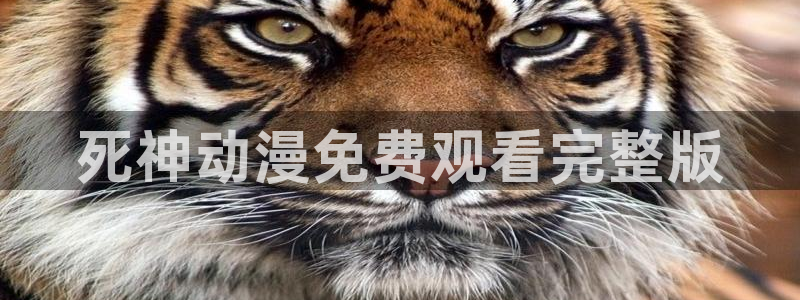 91动漫天堂：死神动漫免费观看完整版