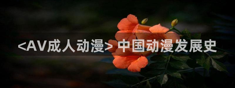 成人动漫天堂av：<AV成人动漫> 中国动漫发展史